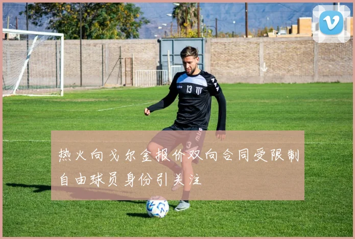热火向戈尔金报价双向合同受限制自由球员身份引关注